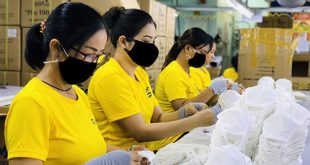 - Antibacterial Cloth Mask ”DONY MASK” exported to France