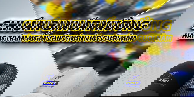 - Over 200,000 Hats Are Ready To Export To The US Market Near The Year-End