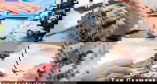 Top 5 Garment Manufacturing Companies in Chad - Top 5 Garment Manufacturing Companies in Chad Top 5 Garment Manufacturing Companies in Chad