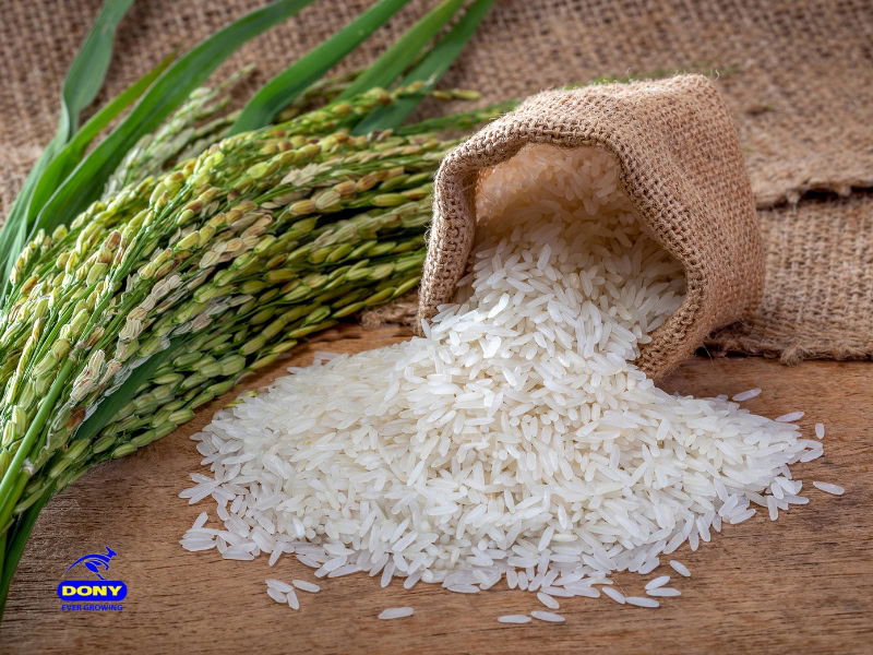Nep Cam Rice (Purple Glutinous Rice)