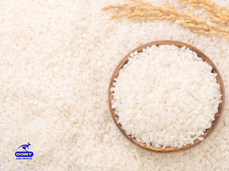 Nam Dinh Bac Huong Rice