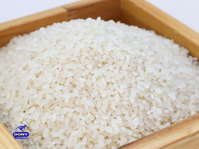 Cho Dao Tai Nguyen Rice