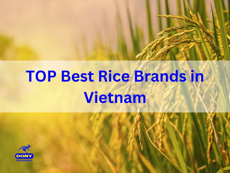 Best Rice Brands in Vietnam
