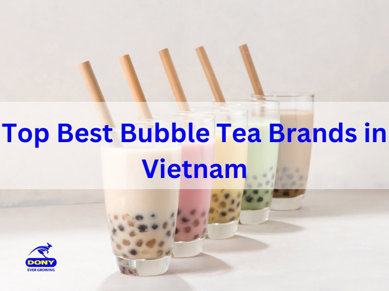 Top 10+ Best Bubble Tea Brands in Vietnam 2026